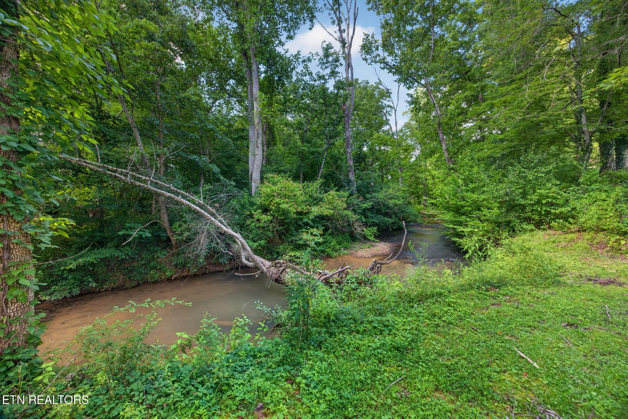 3669 N Riveroaks Drive Cookeville TN 38506