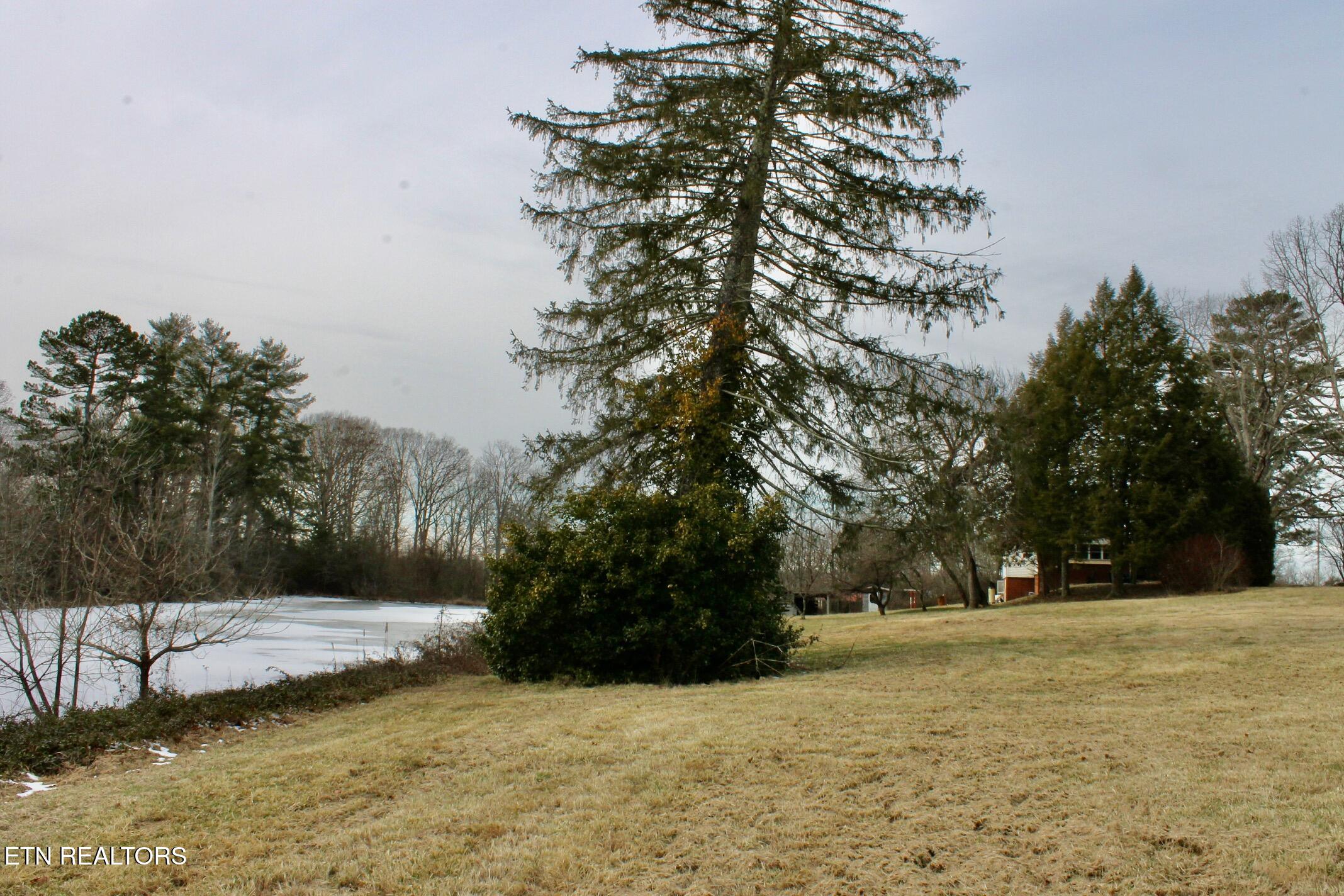 6111 Nashville Highway Deer Lodge TN 37726