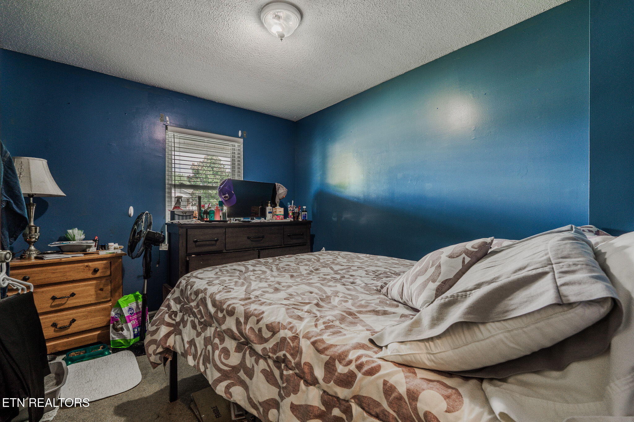 2117 Raulston View Drive Maryville TN 37803