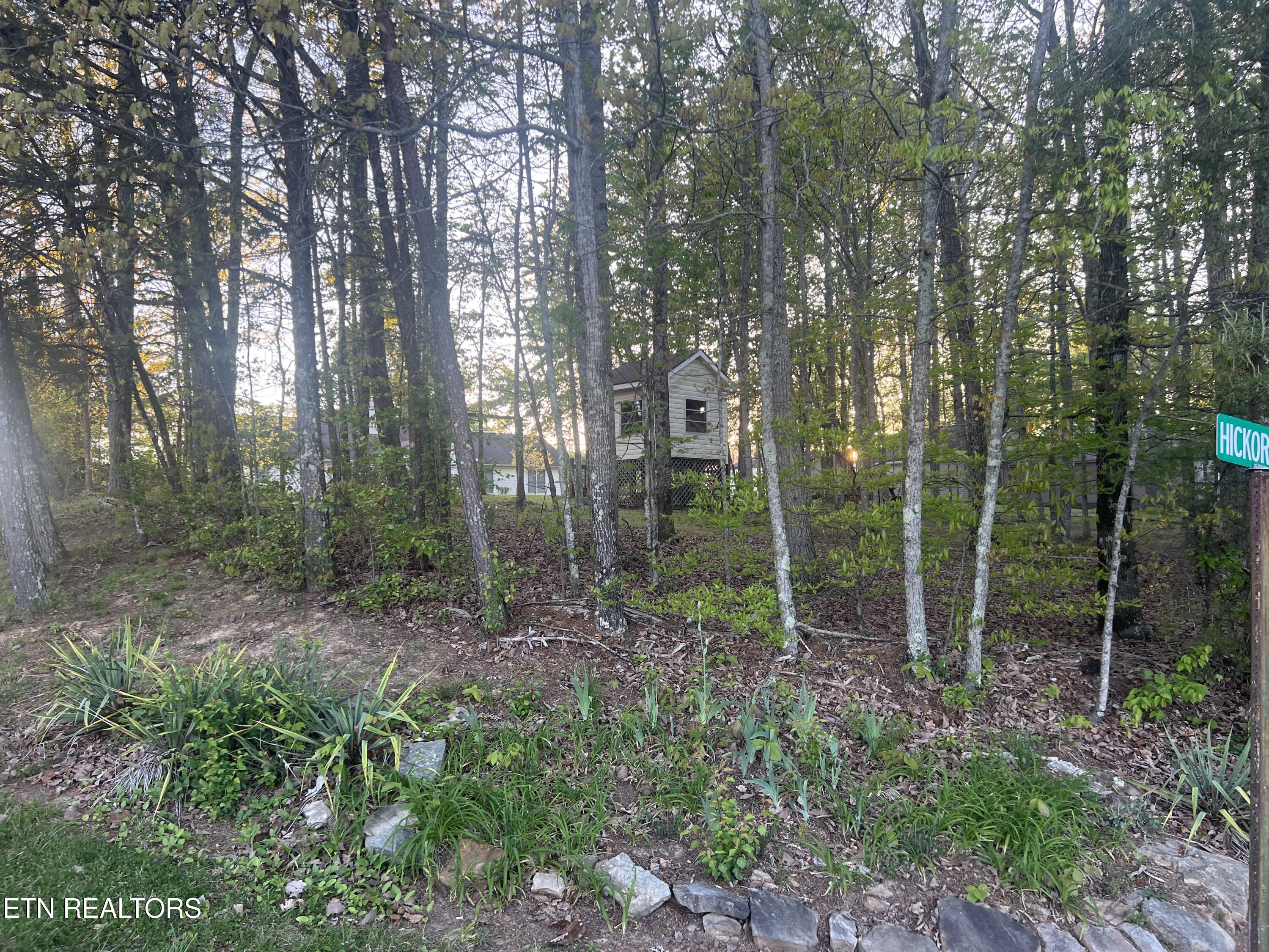 31 Chestnut Oak Road Crossville TN 38571