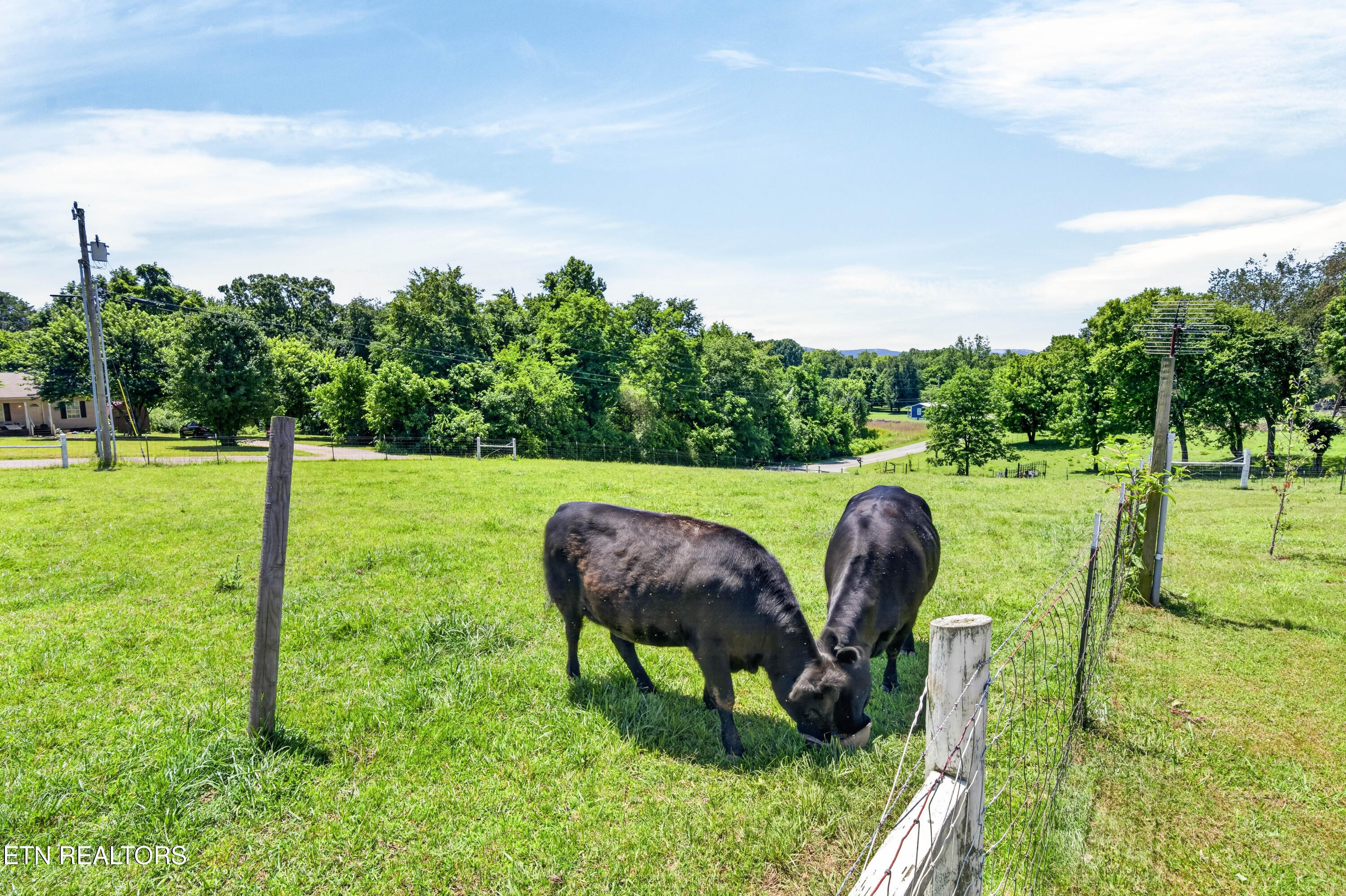 105 Foothills Road Pikeville TN 37367