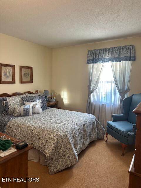 7712 Castlecomb Road Powell TN 37849