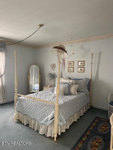 7712 Castlecomb Road Powell TN 37849