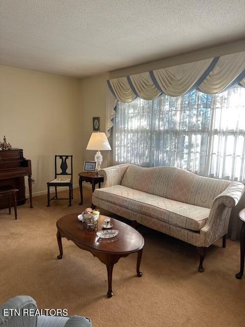 7712 Castlecomb Road Powell TN 37849
