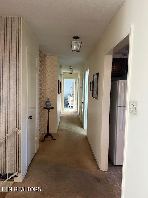 7712 Castlecomb Road Powell TN 37849