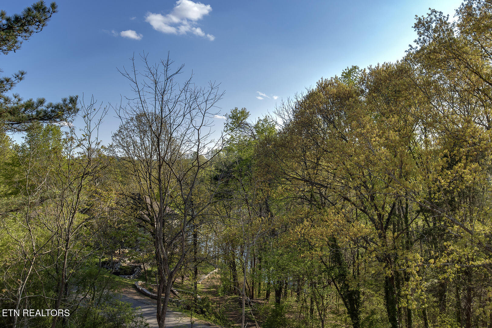 168 Amohi Way Loudon TN 37774
