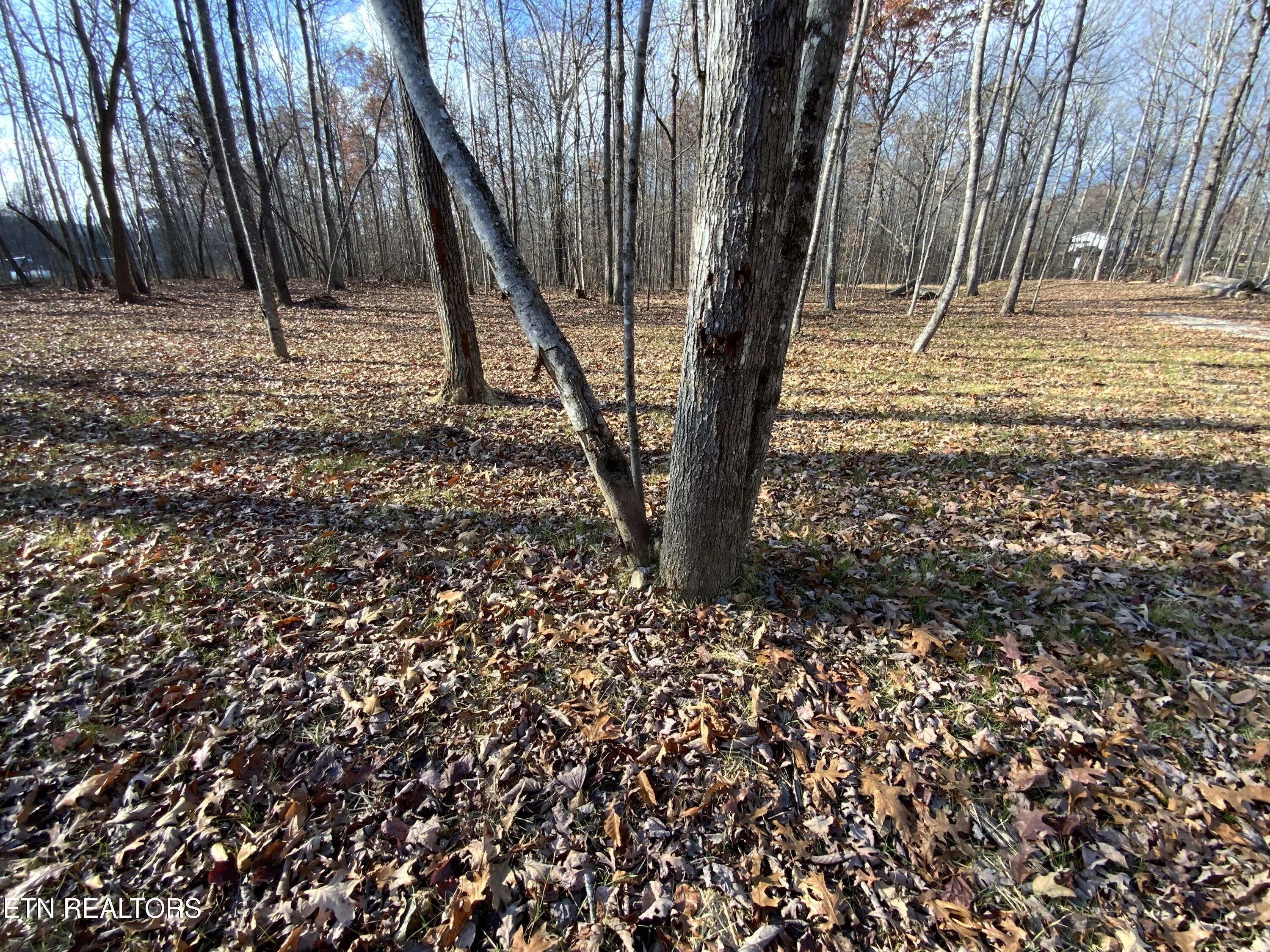 436 Pilot Mountain Road Lancing TN 37770