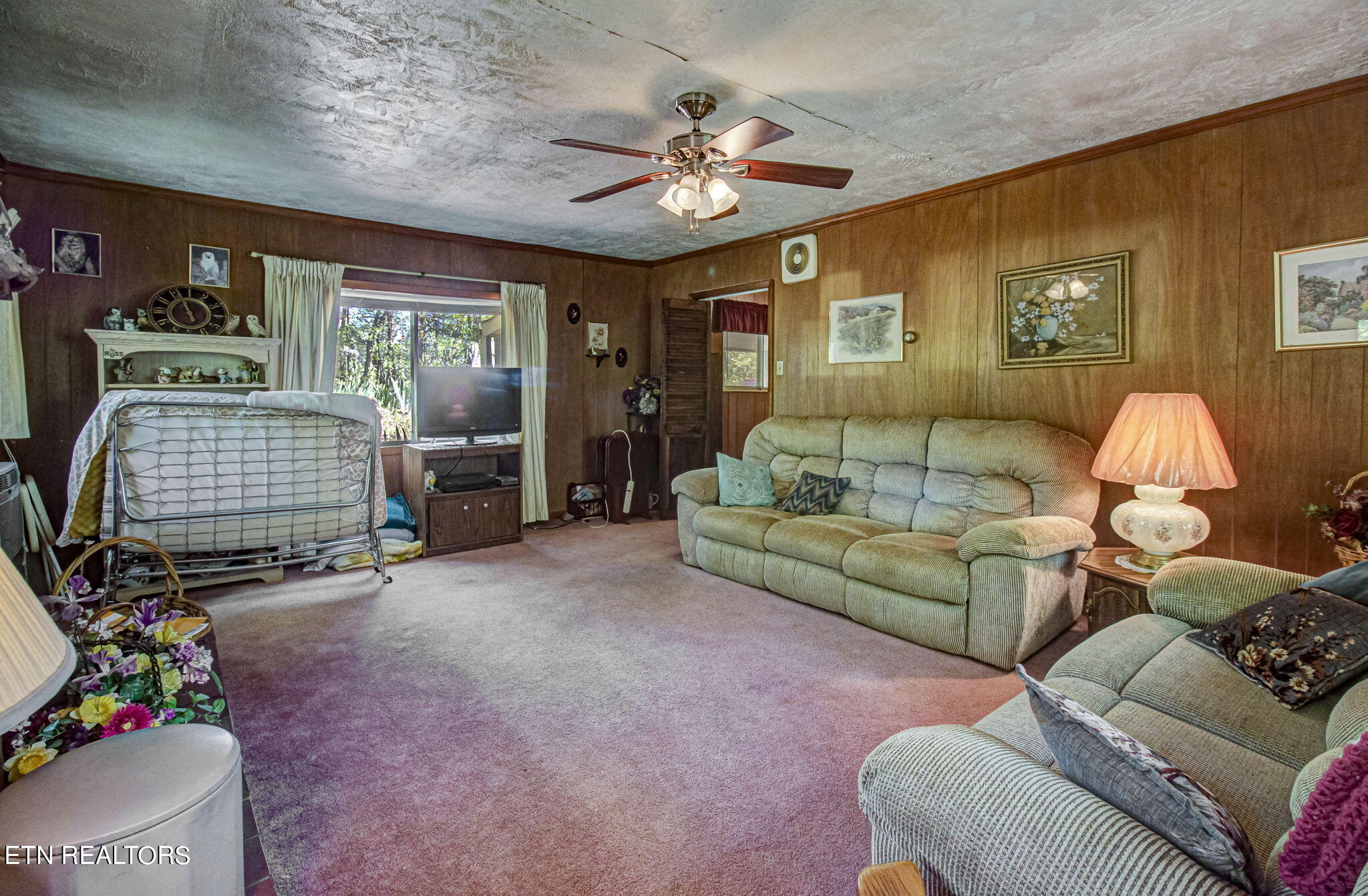 1909 Cheyene Trail Dandridge TN 37725