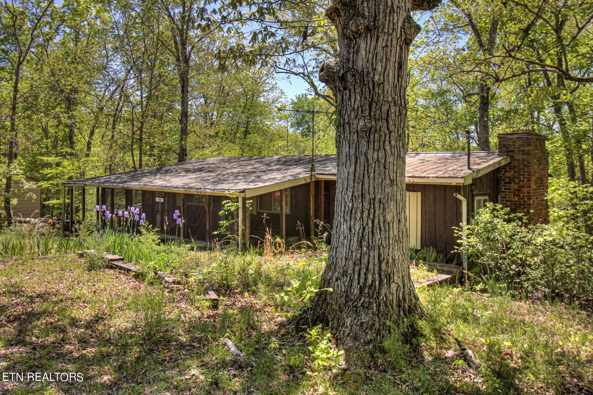 1909 Cheyene Trail Dandridge TN 37725