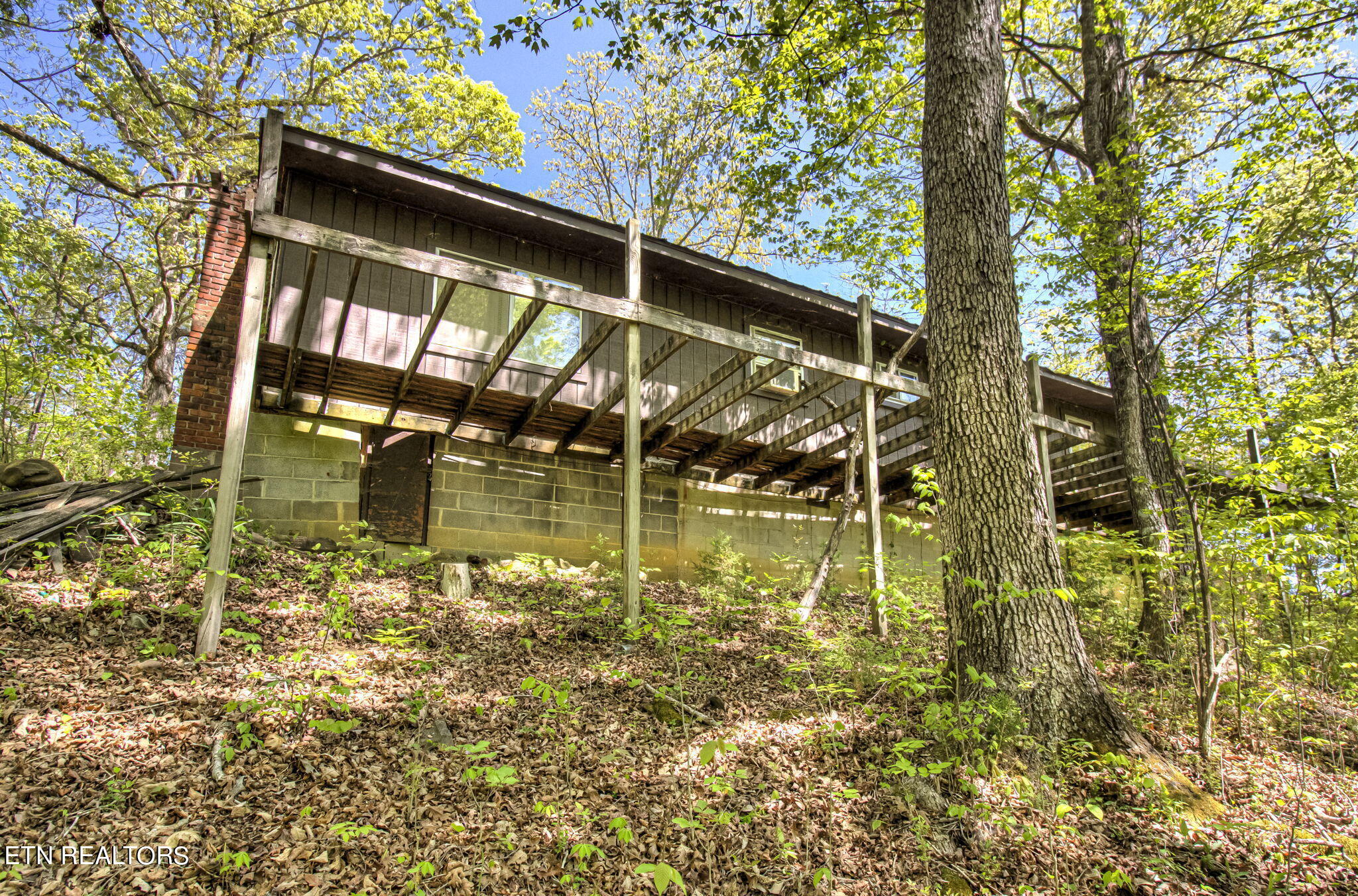 1909 Cheyene Trail Dandridge TN 37725