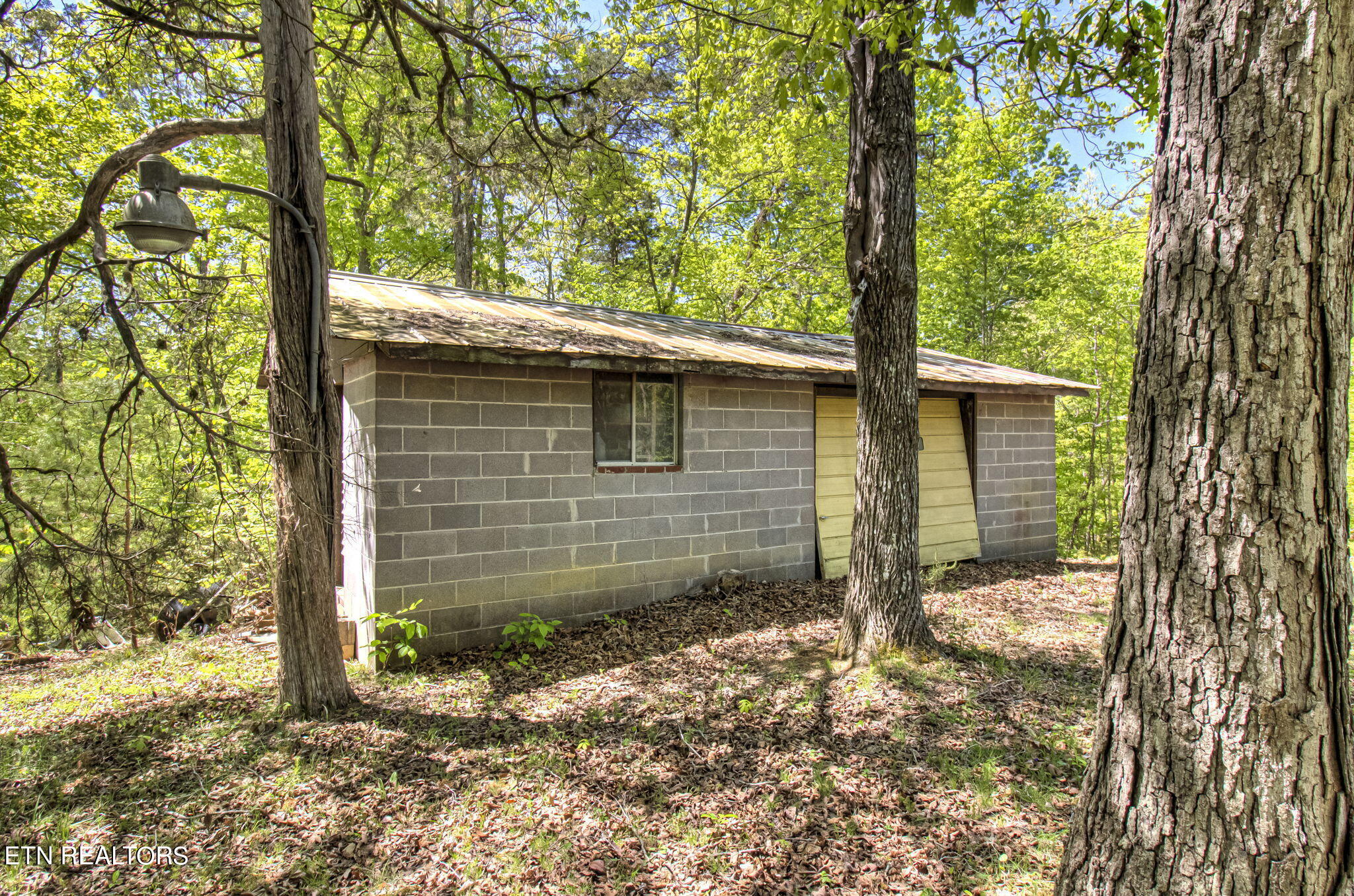 1909 Cheyene Trail Dandridge TN 37725