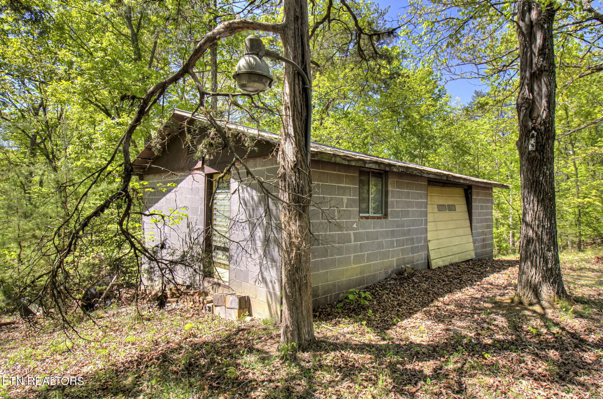 1909 Cheyene Trail Dandridge TN 37725