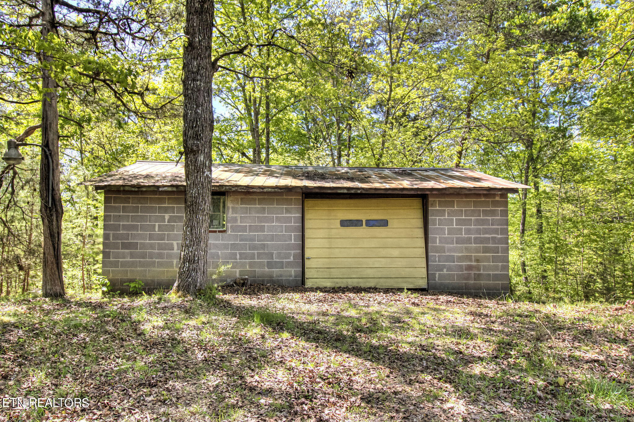 1909 Cheyene Trail Dandridge TN 37725