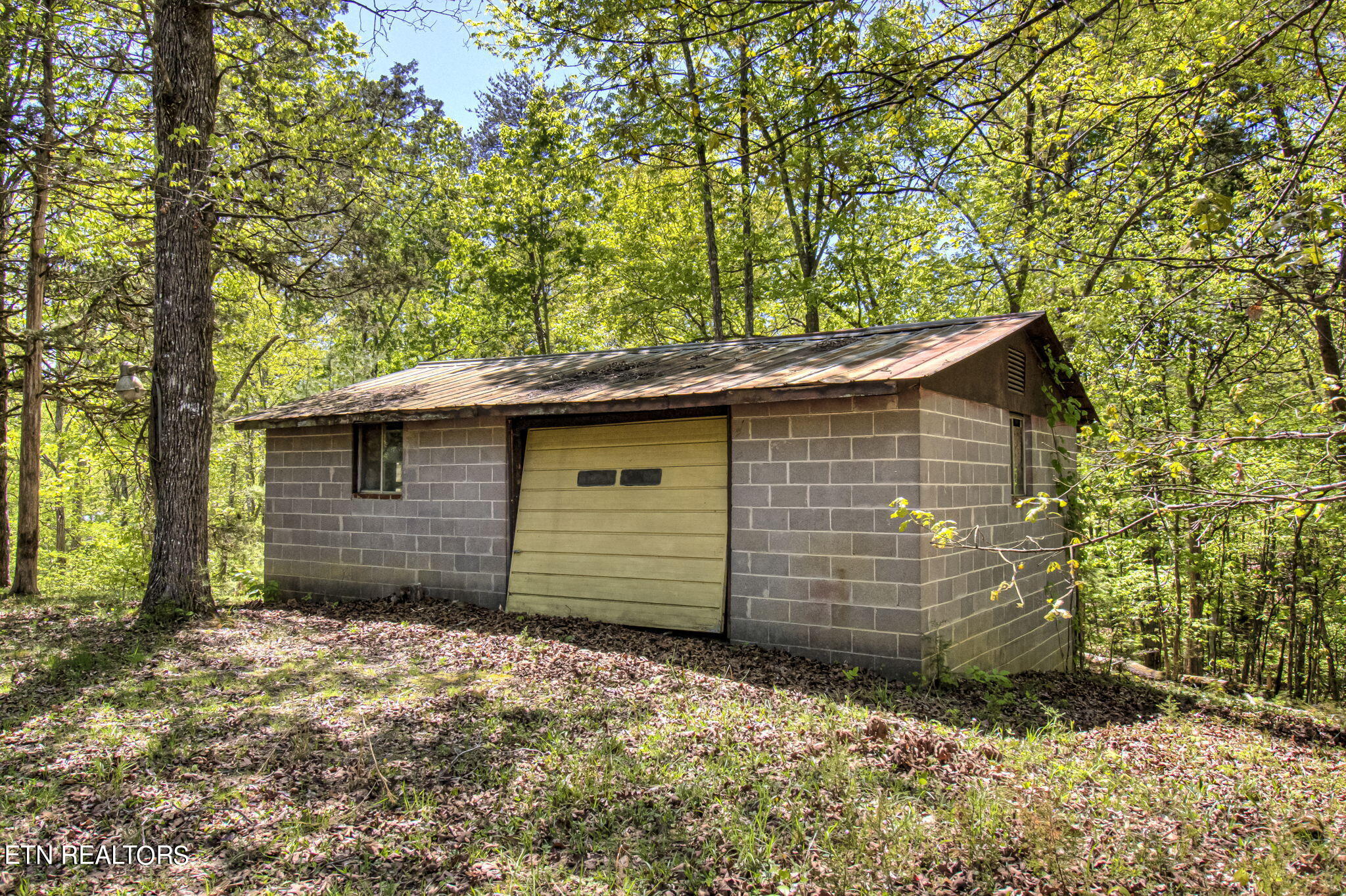 1909 Cheyene Trail Dandridge TN 37725