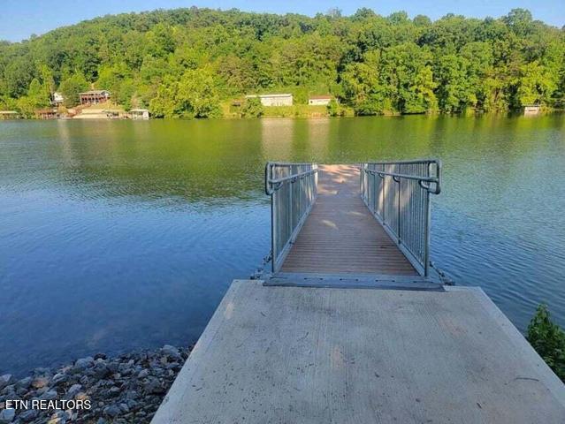 2285 Euchee Chapel Road Spring City TN 37381