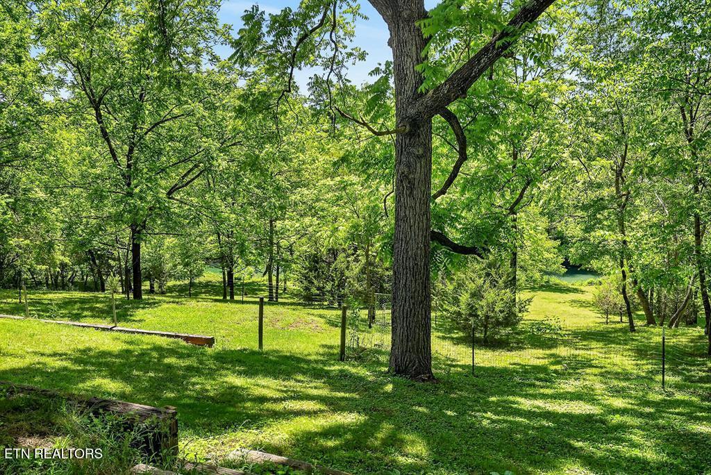 301 W Everett Street Sparta TN 38583