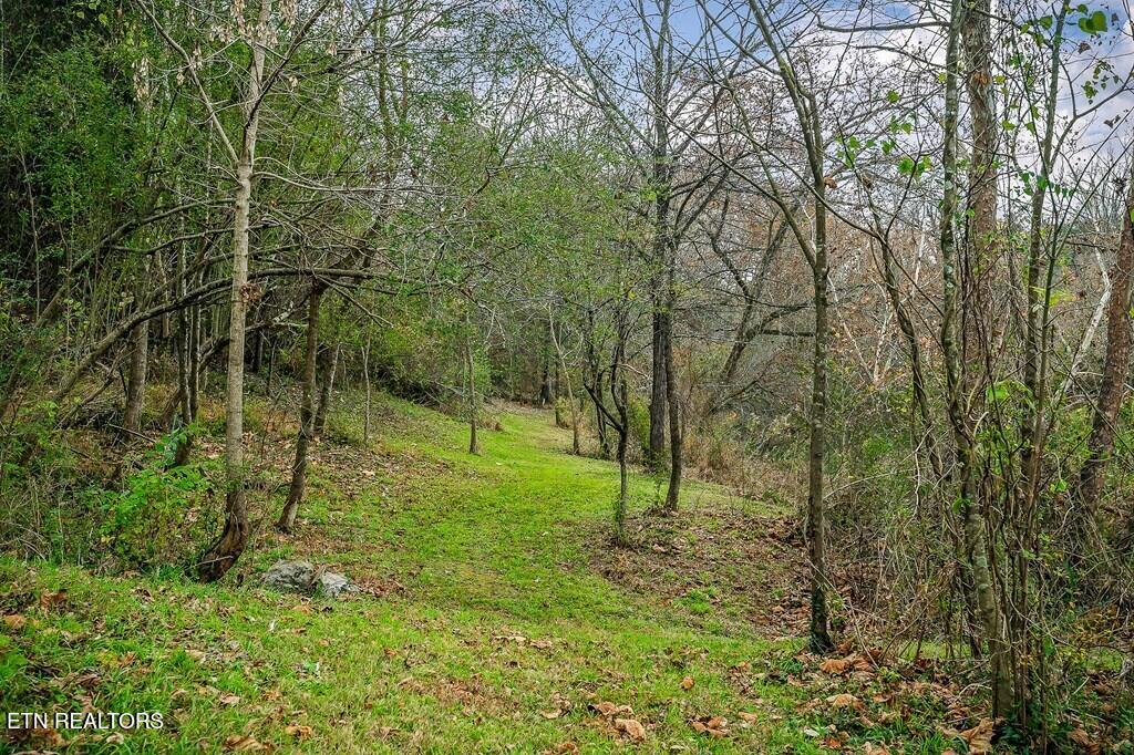 301 W Everett Street Sparta TN 38583