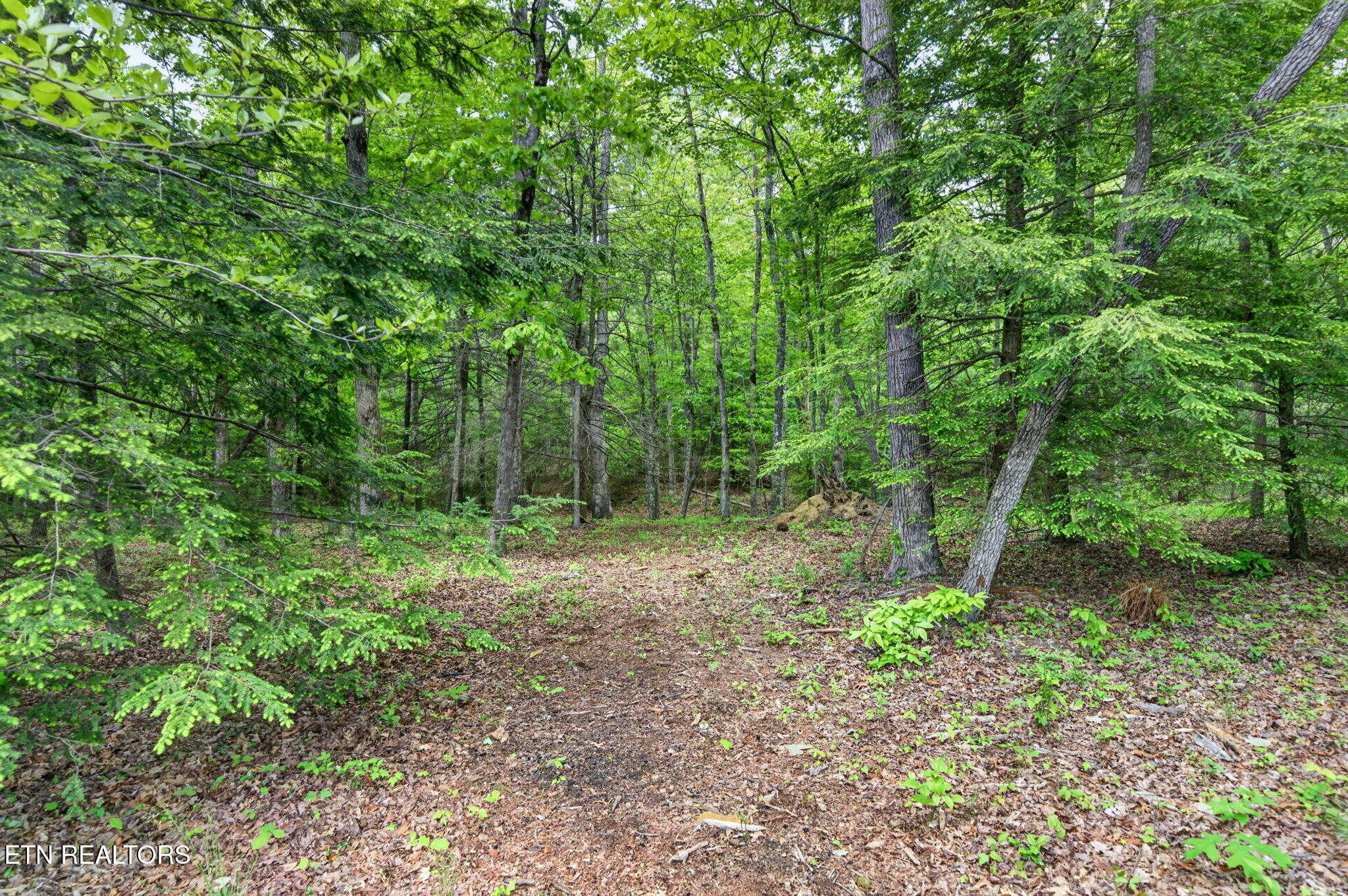 704 White Oak Road Monterey TN 38574