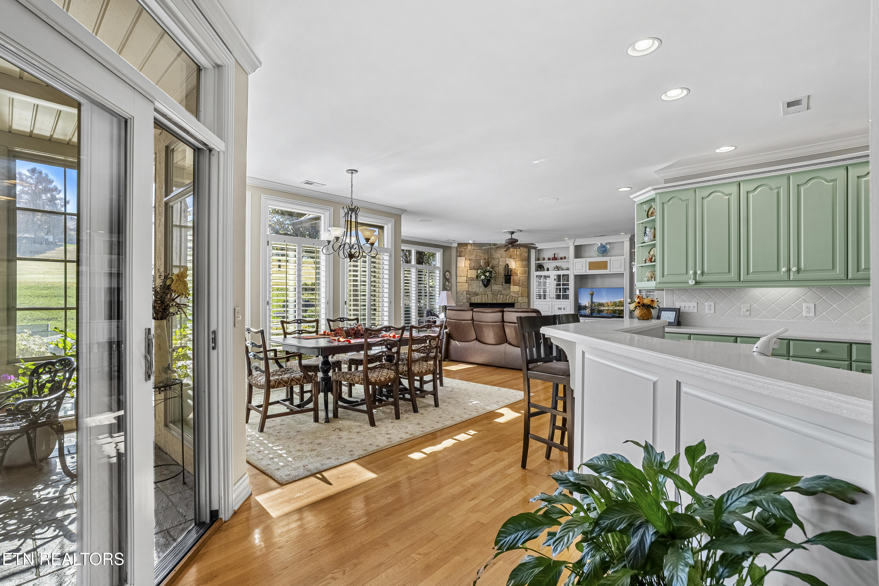 310 Pineberry Drive Vonore TN 37885