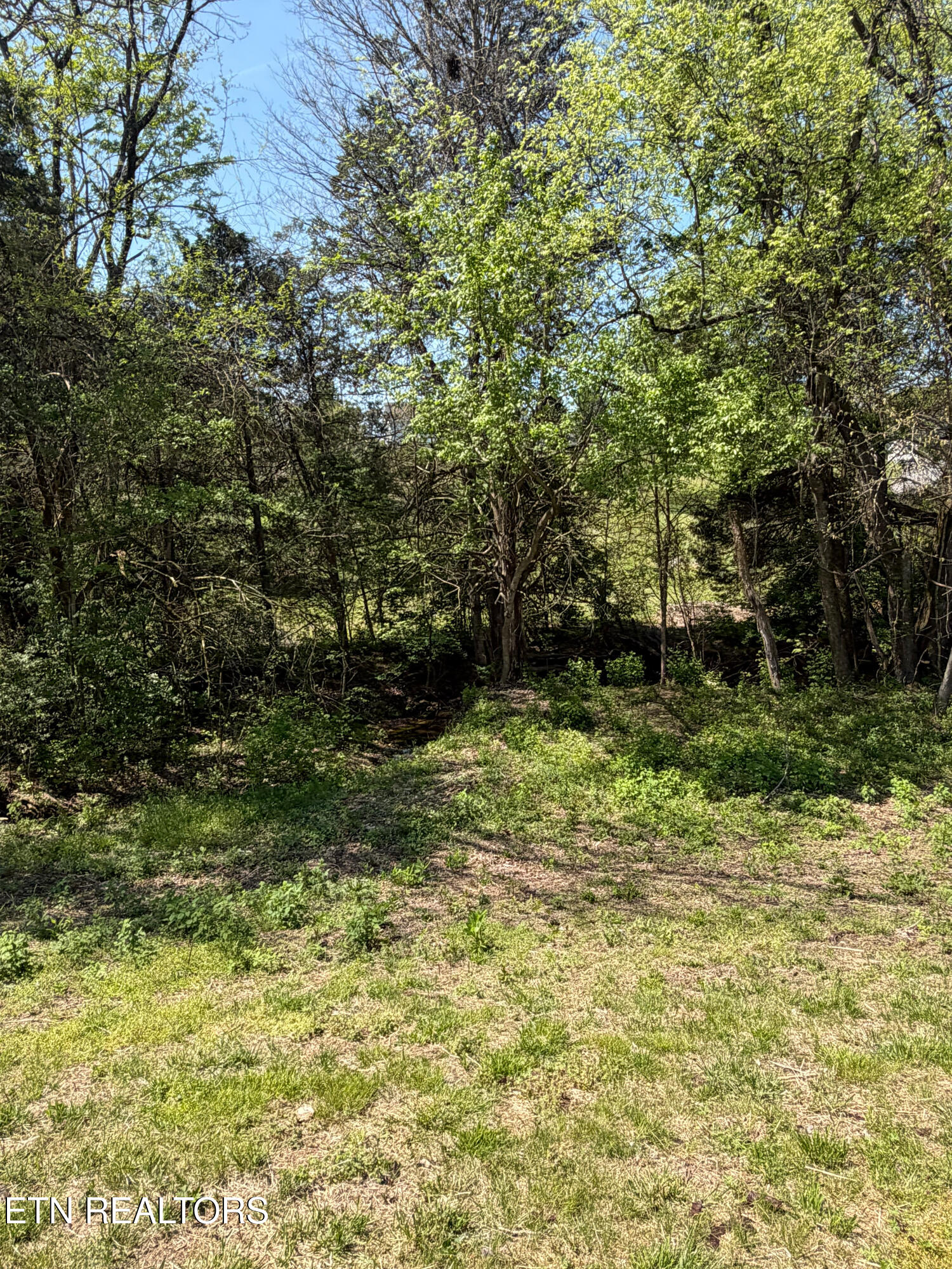 810 Harvest Meadows Drive Kodak TN 37764