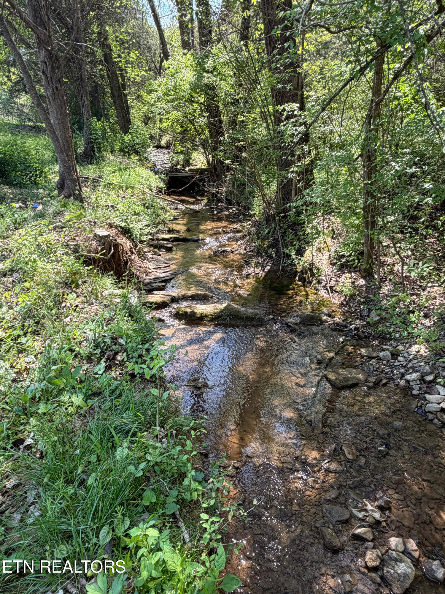 810 Harvest Meadows Drive Kodak TN 37764