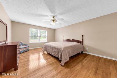 443 Sweetgum Drive Knoxville TN 37934