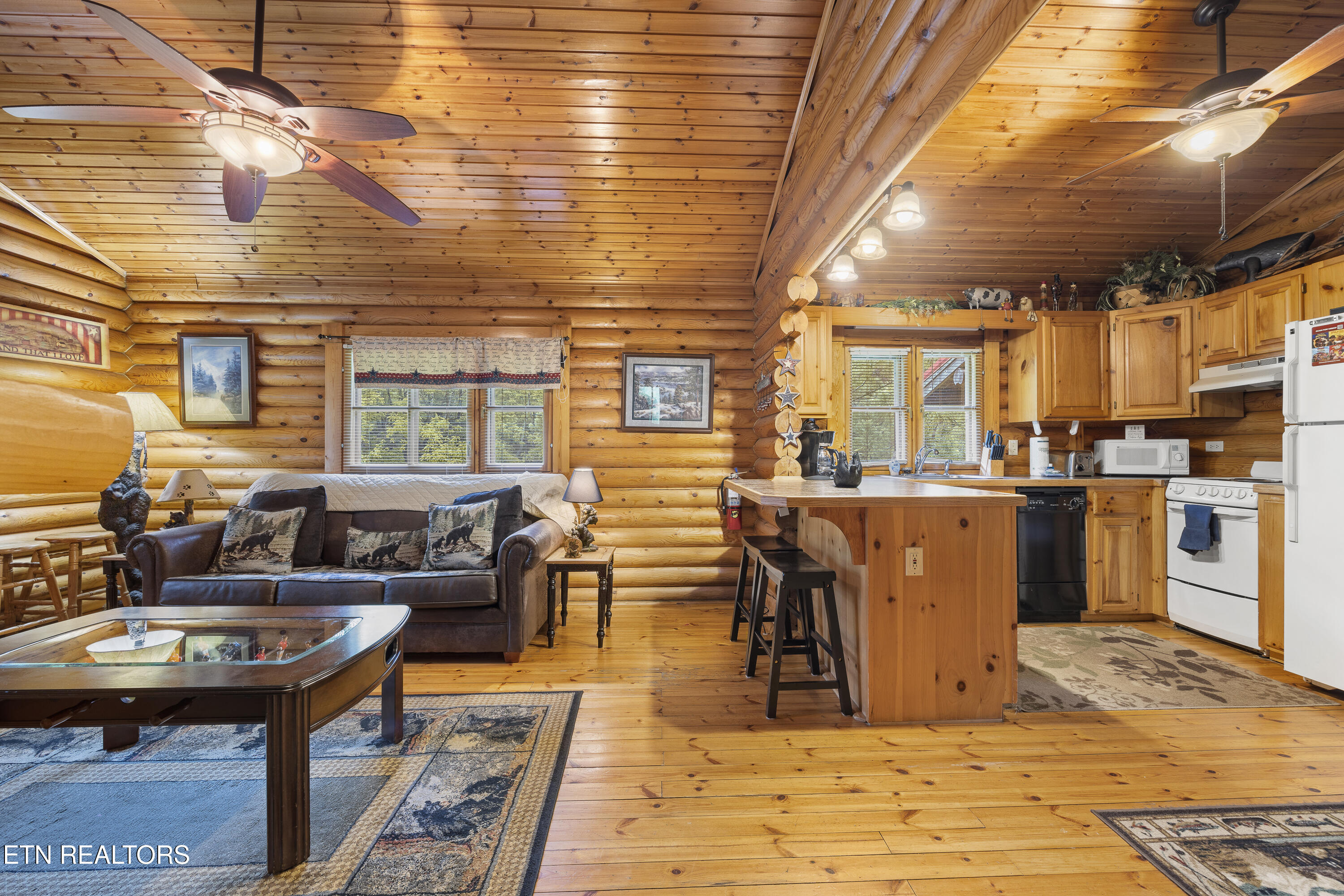 165 N Smoky Mountain Way Sevierville TN 37876