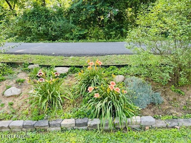 109 Bona Road Knoxville TN 37914