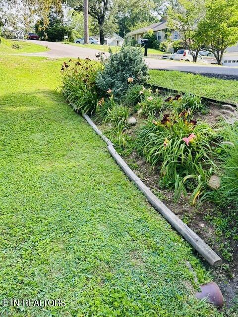109 Bona Road Knoxville TN 37914