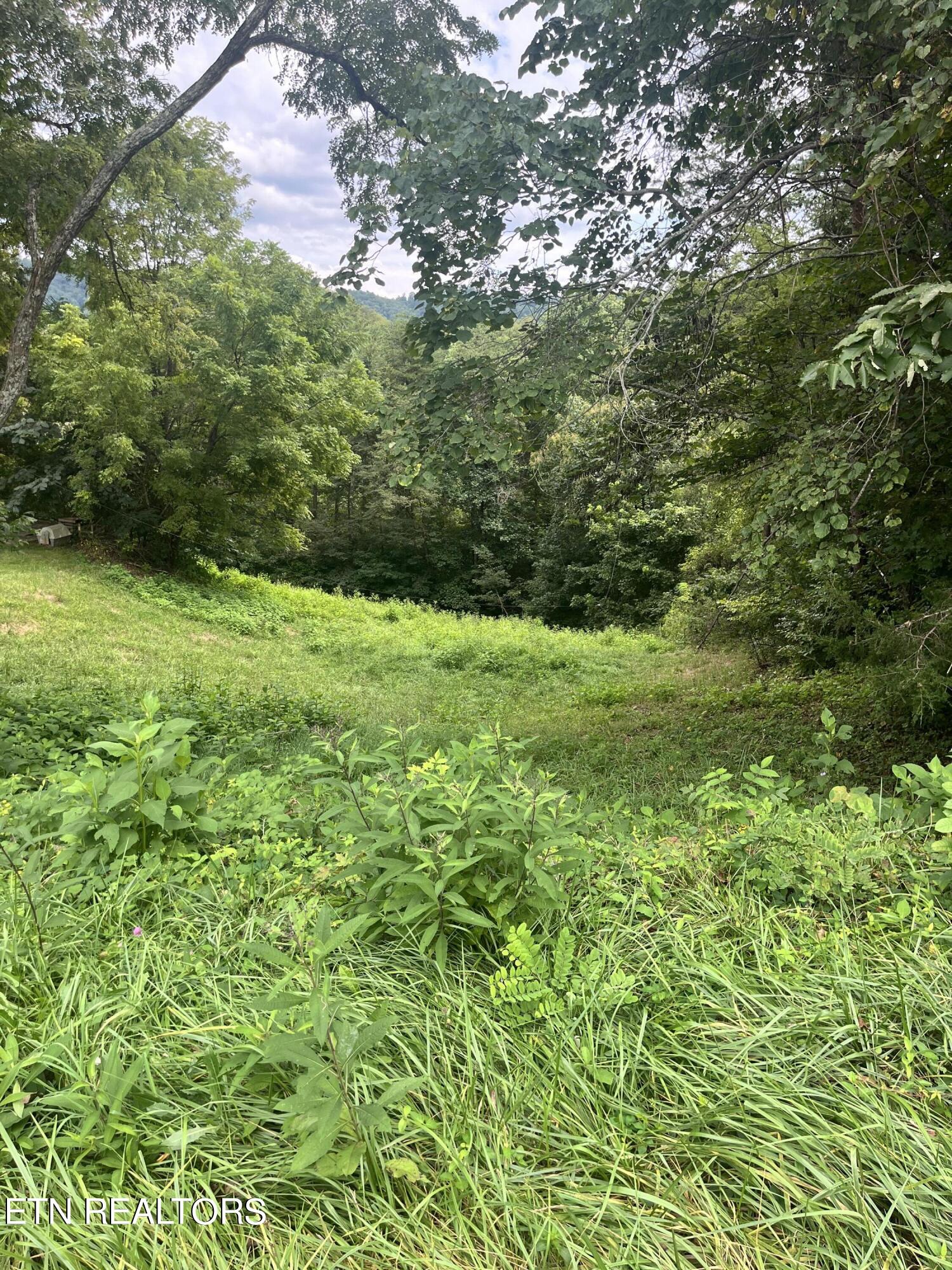 511 Cross Creek Circle Maynardville TN 37807