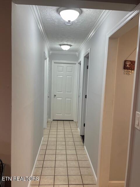 111 Abner Cruze Road Knoxville TN 37920