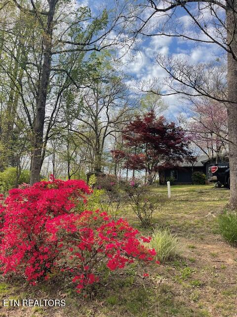 111 Abner Cruze Road Knoxville TN 37920