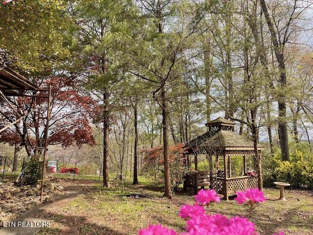 111 Abner Cruze Road Knoxville TN 37920