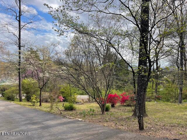 111 Abner Cruze Road Knoxville TN 37920