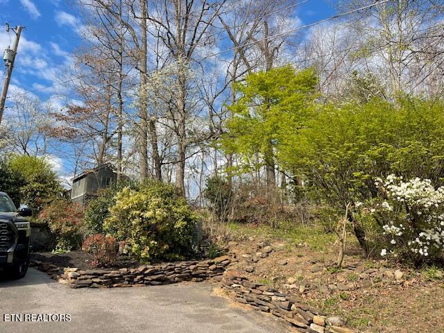 111 Abner Cruze Road Knoxville TN 37920
