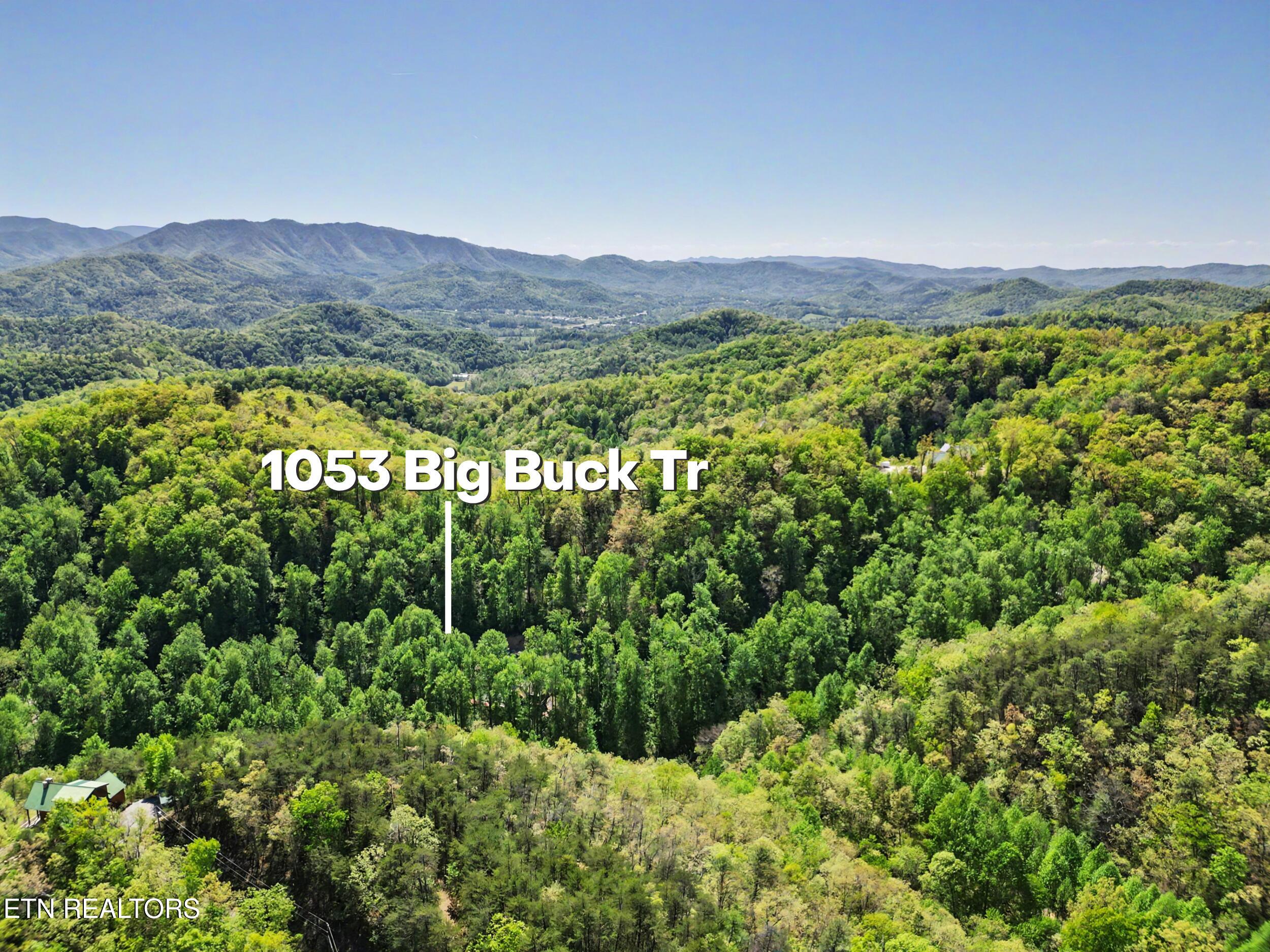 1053 Big Buck Trail Townsend TN 37882