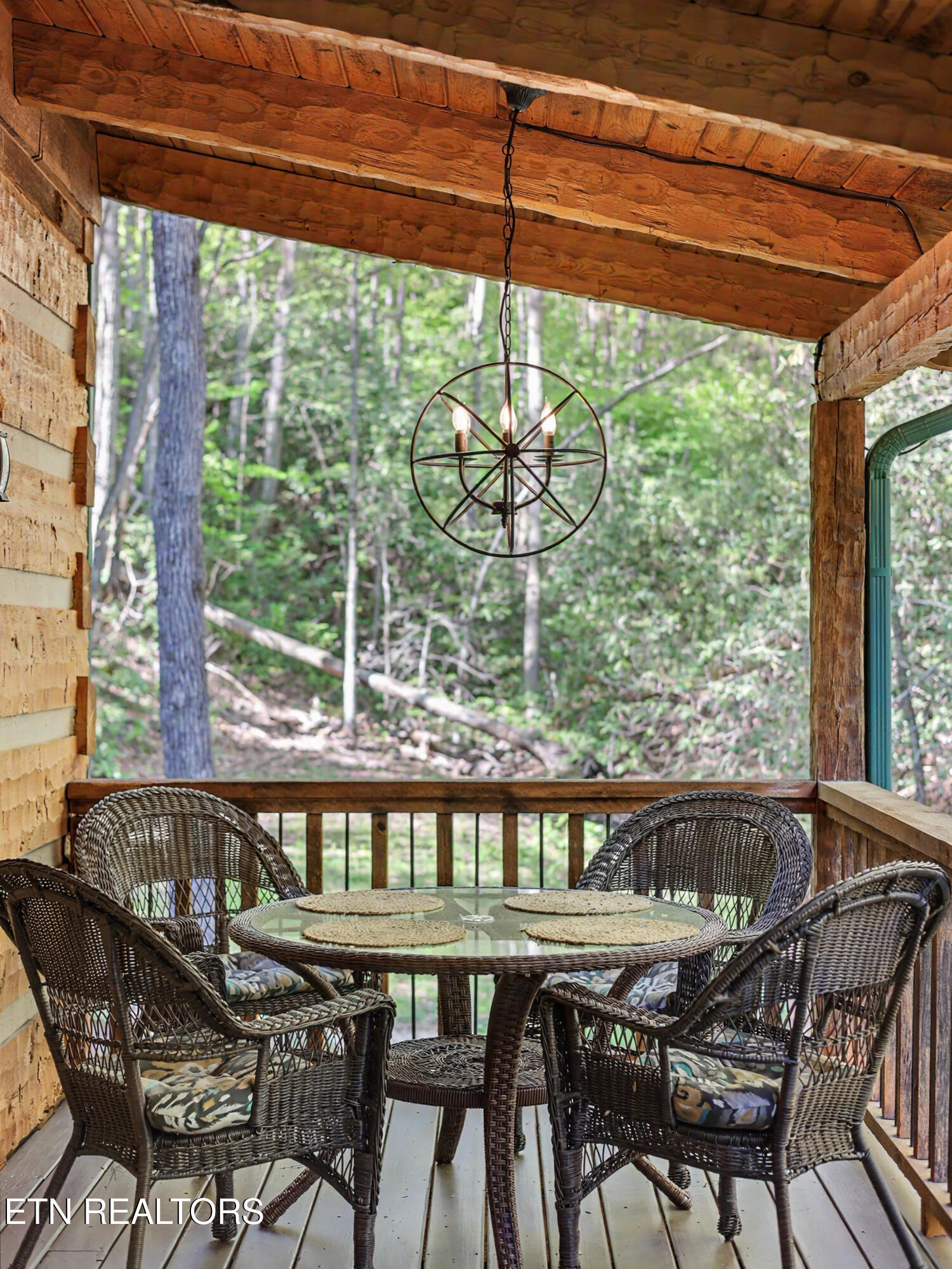 1053 Big Buck Trail Townsend TN 37882
