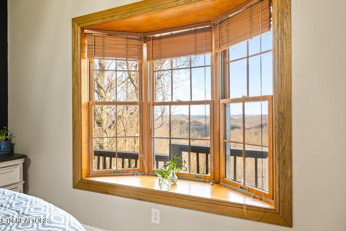 286 Bobcat Trail Caryville TN 37714