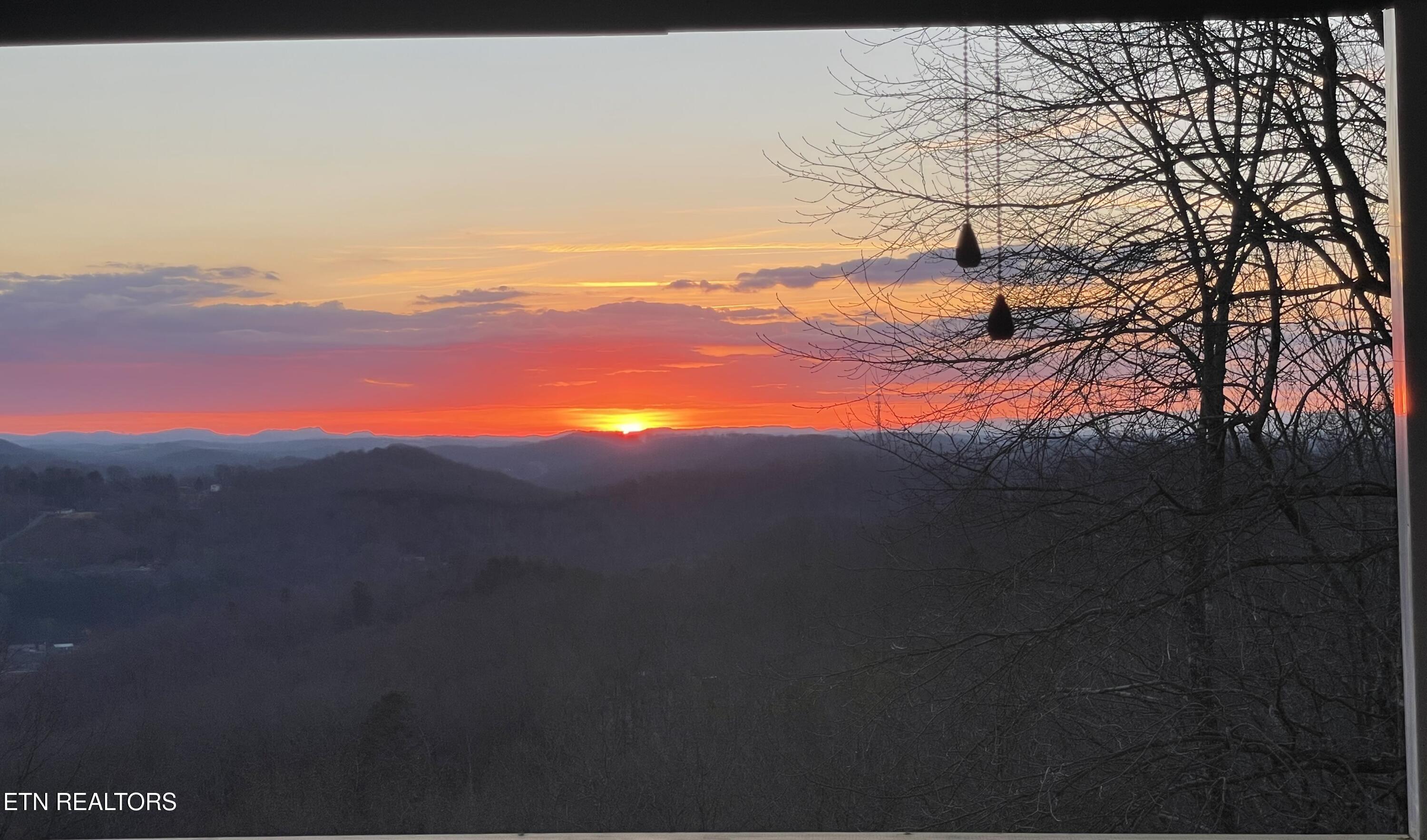 286 Bobcat Trail Caryville TN 37714