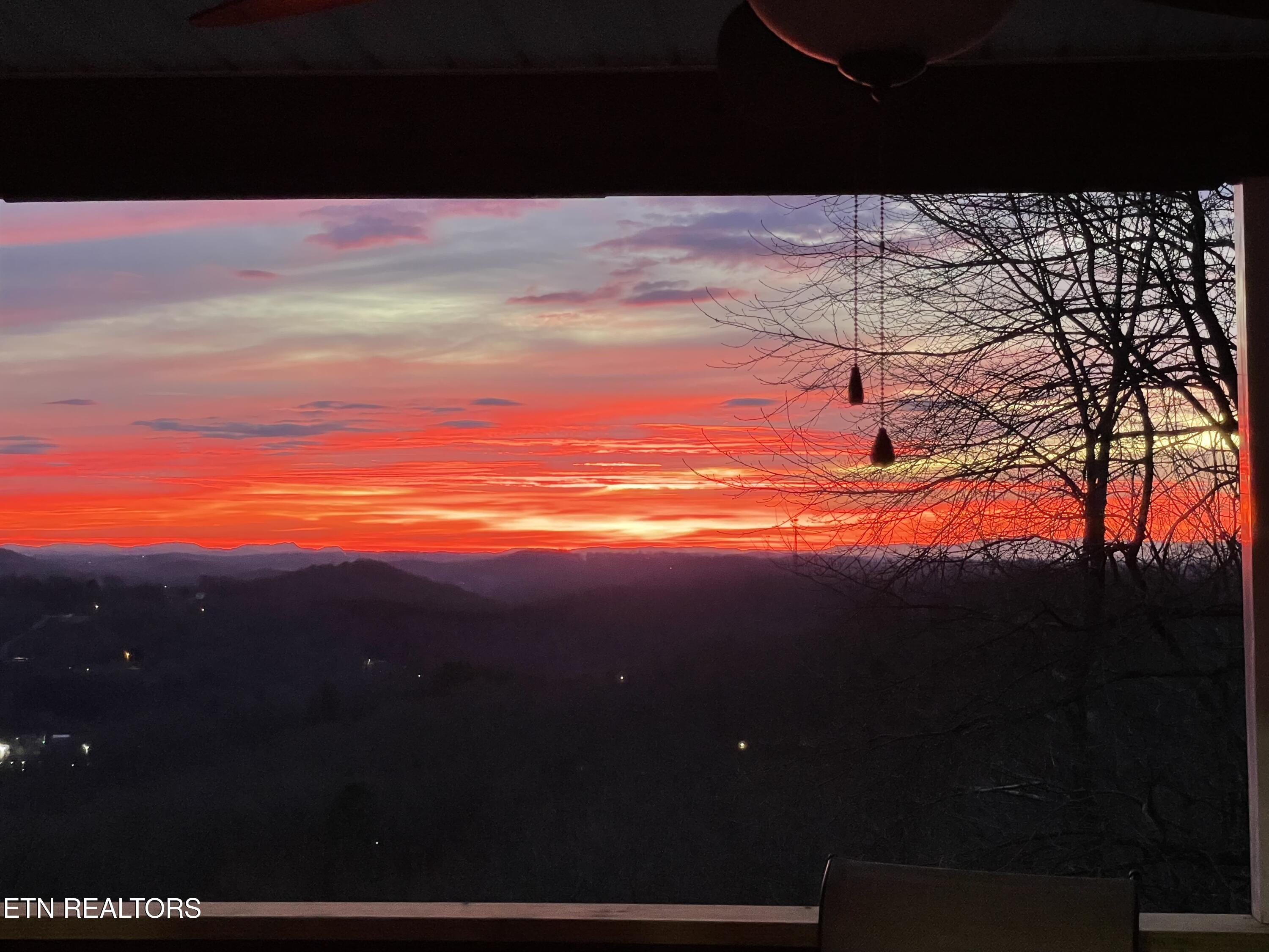 286 Bobcat Trail Caryville TN 37714