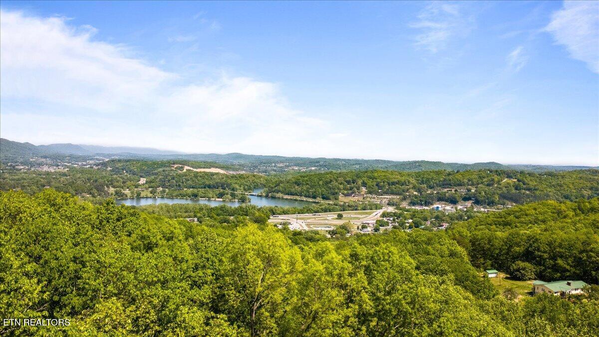 286 Bobcat Trail Caryville TN 37714