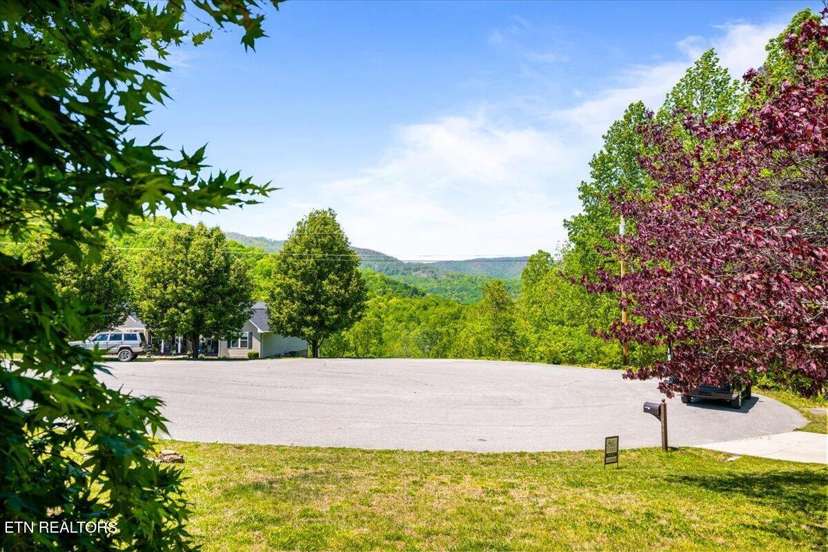 286 Bobcat Trail Caryville TN 37714