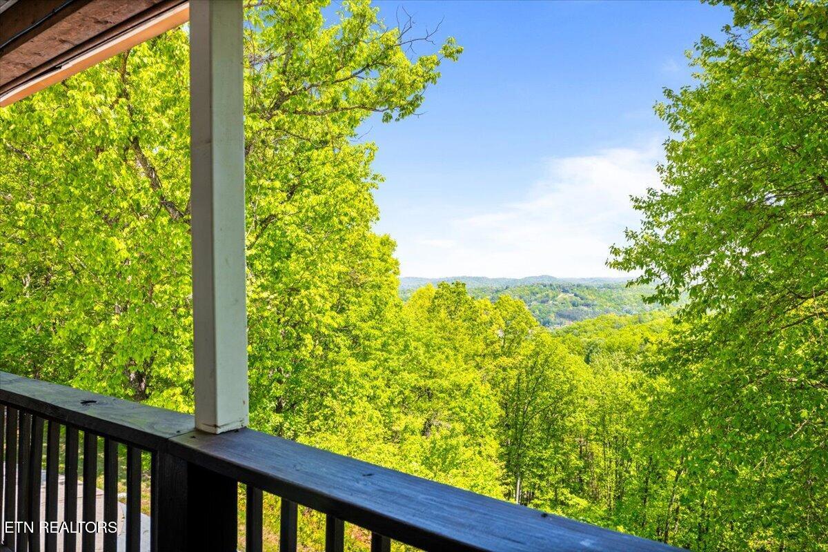 286 Bobcat Trail Caryville TN 37714