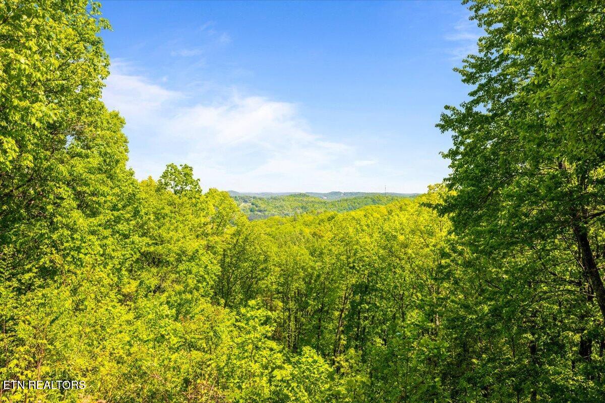 286 Bobcat Trail Caryville TN 37714