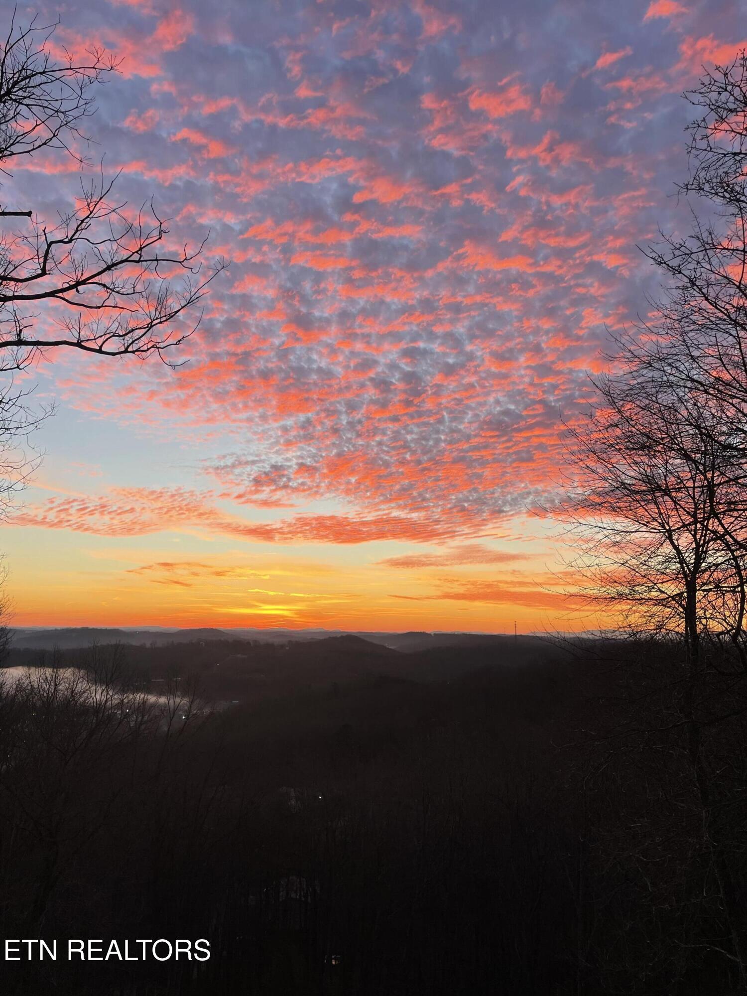 286 Bobcat Trail Caryville TN 37714