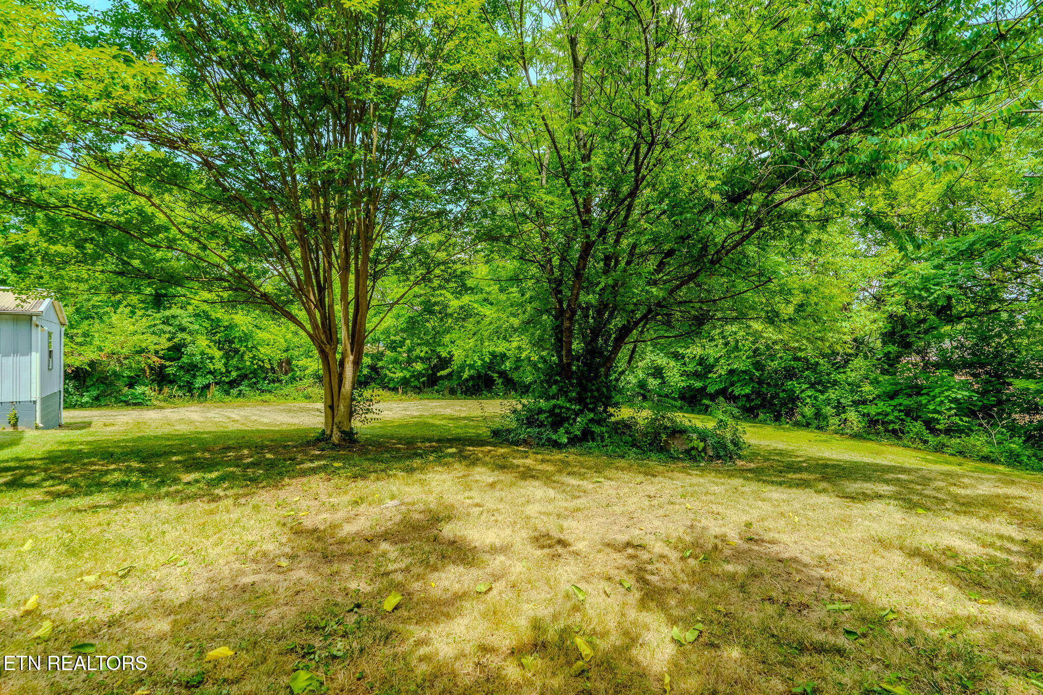 1619 Beaumont Avenue Knoxville TN 37921