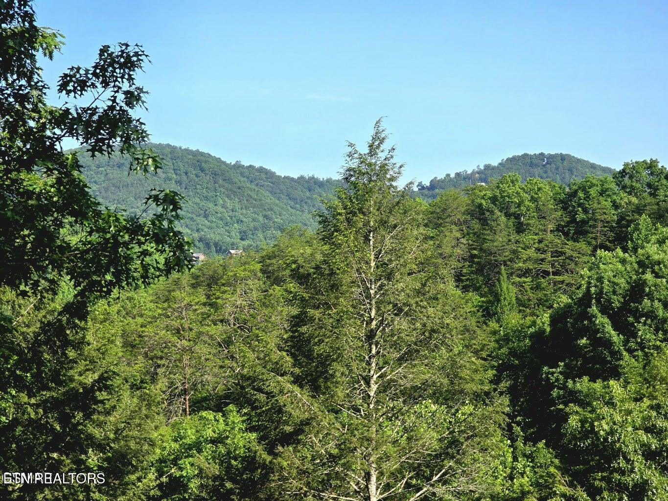 2011 Ridgecrest Loop Lane Sevierville TN 37876