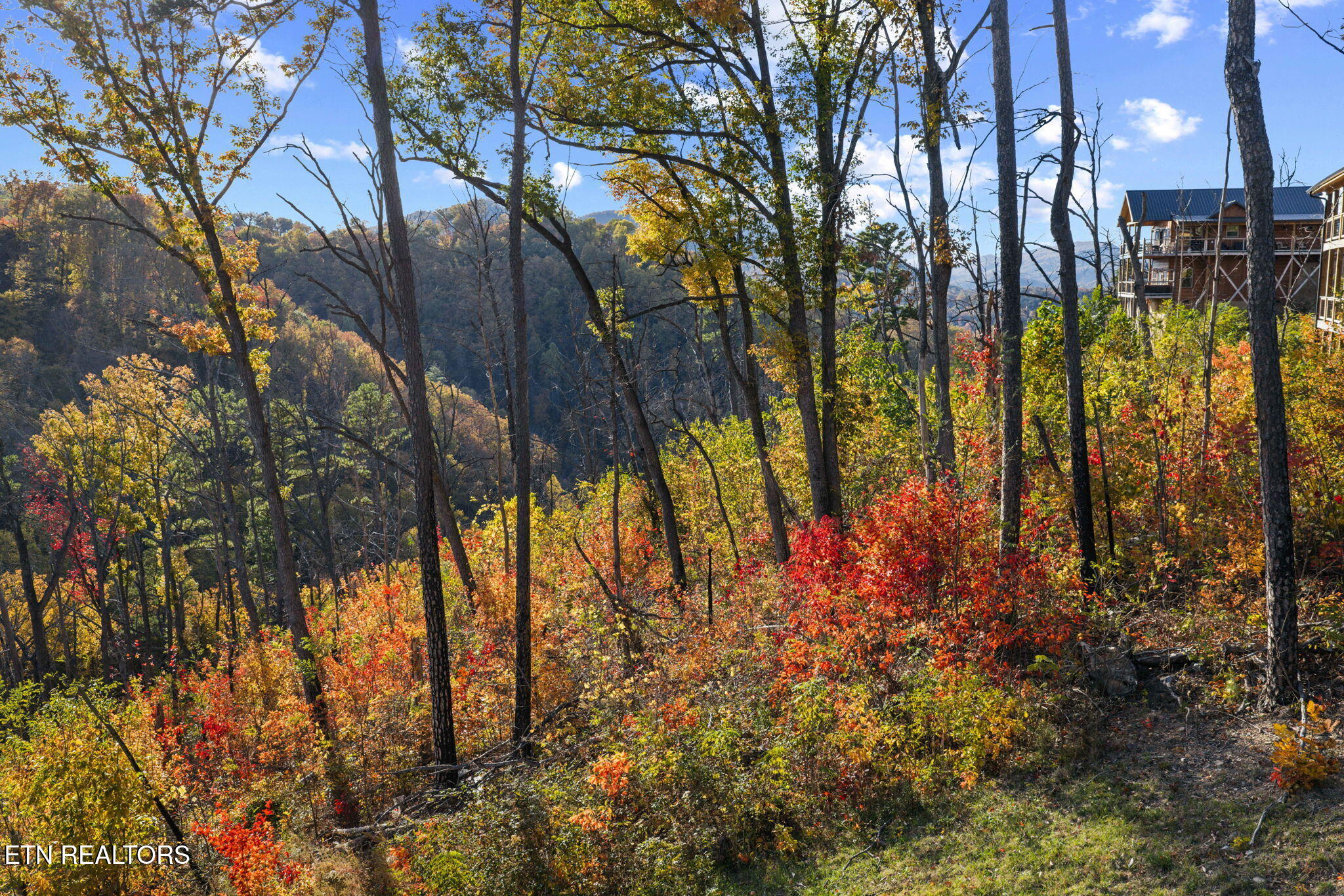 2216 Headrick Lead Sevierville TN 37862