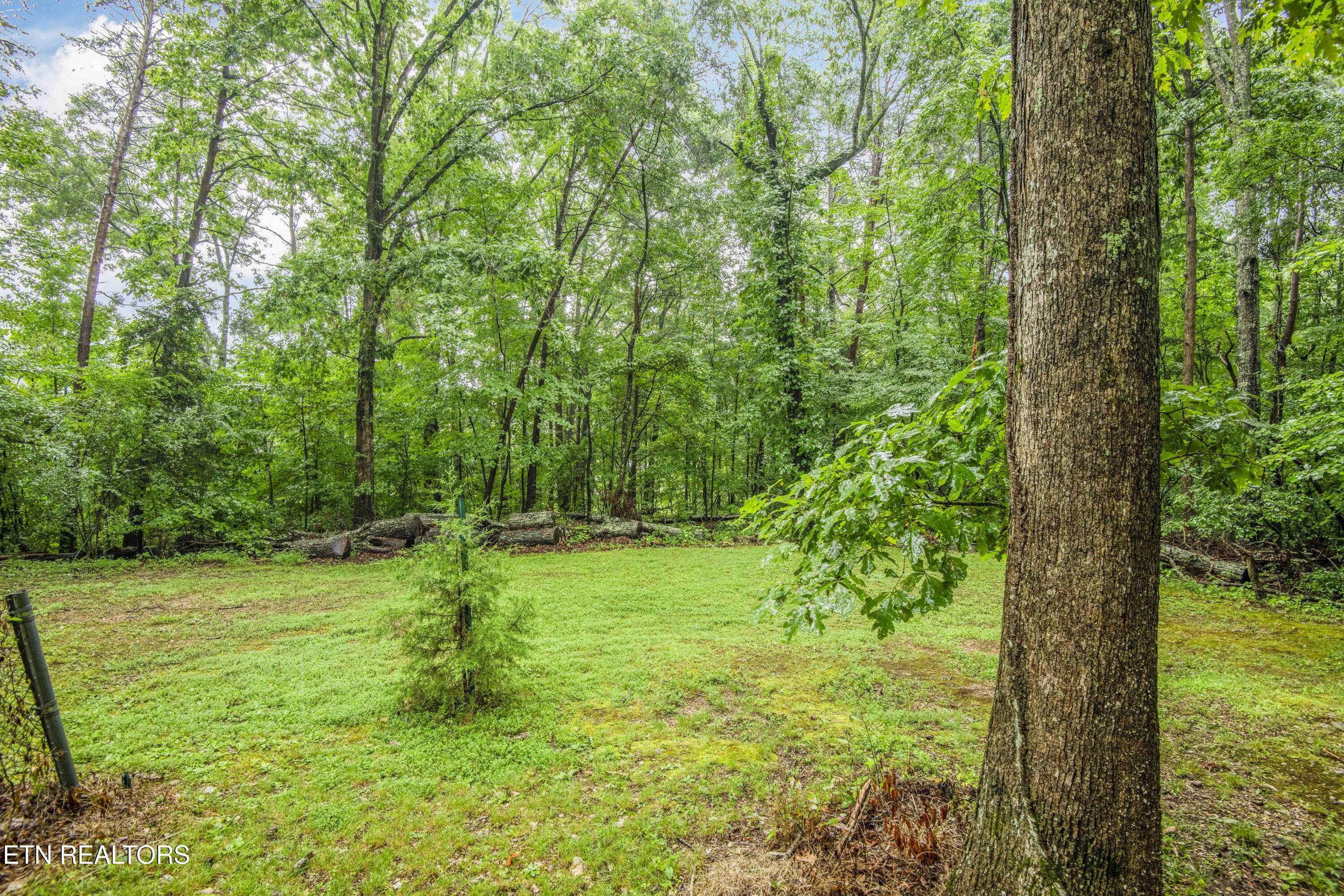 117 Skyline Lane Powell TN 37849