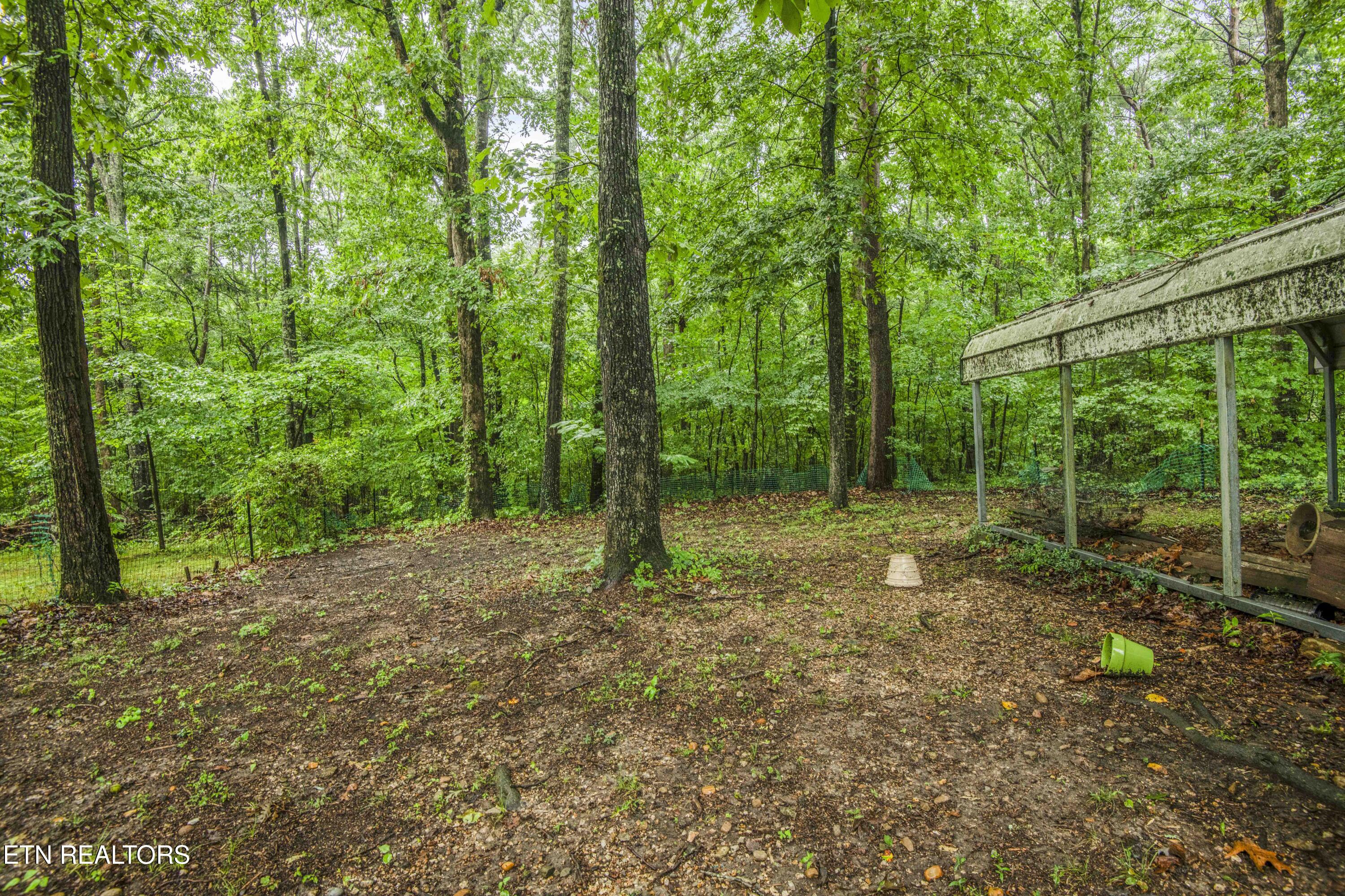 117 Skyline Lane Powell TN 37849